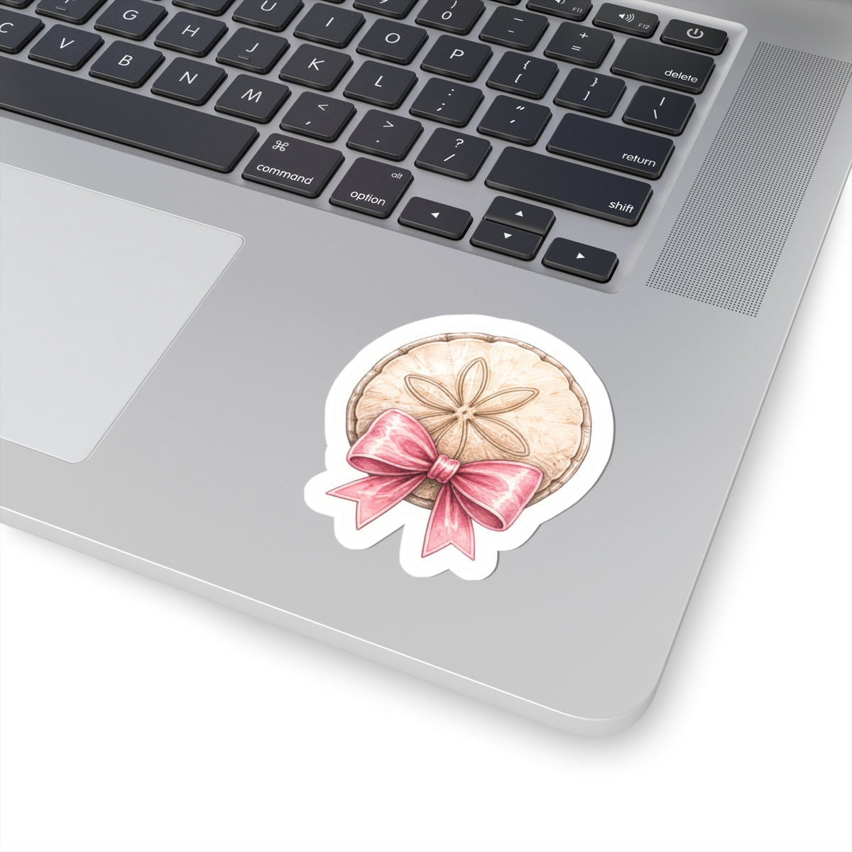 Pretty Little Sand Dollar Bow Sticker