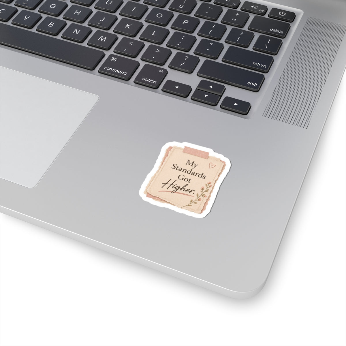 My Standards Got Higher Sticker
