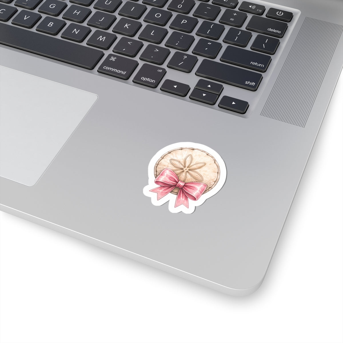 Pretty Little Sand Dollar Bow Sticker
