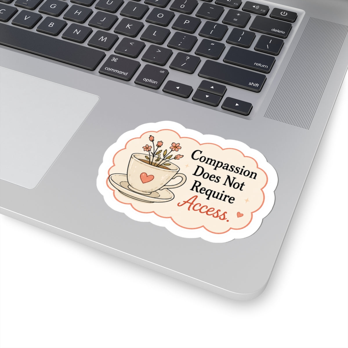 Compassion Does Not Require Access Sticker