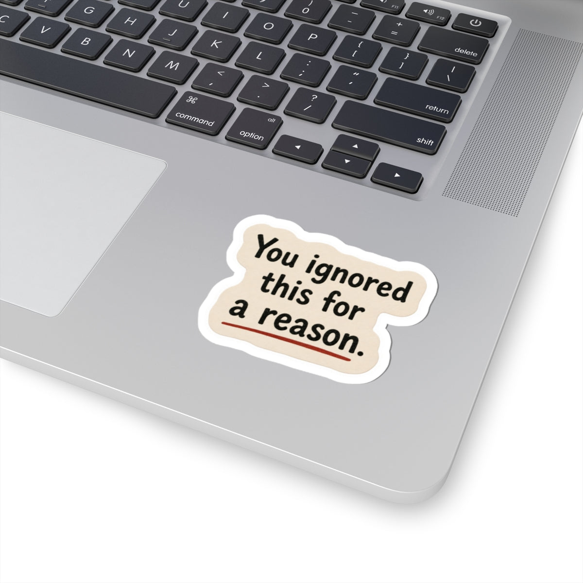 You Ignored This For A Reason Sticker
