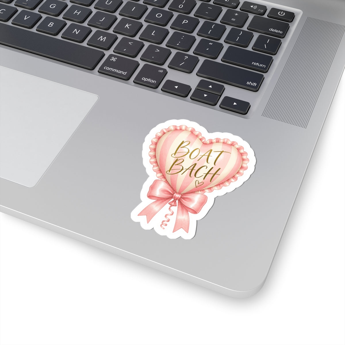 Boat Bachh Heart Balloon Sticker 🎀💗