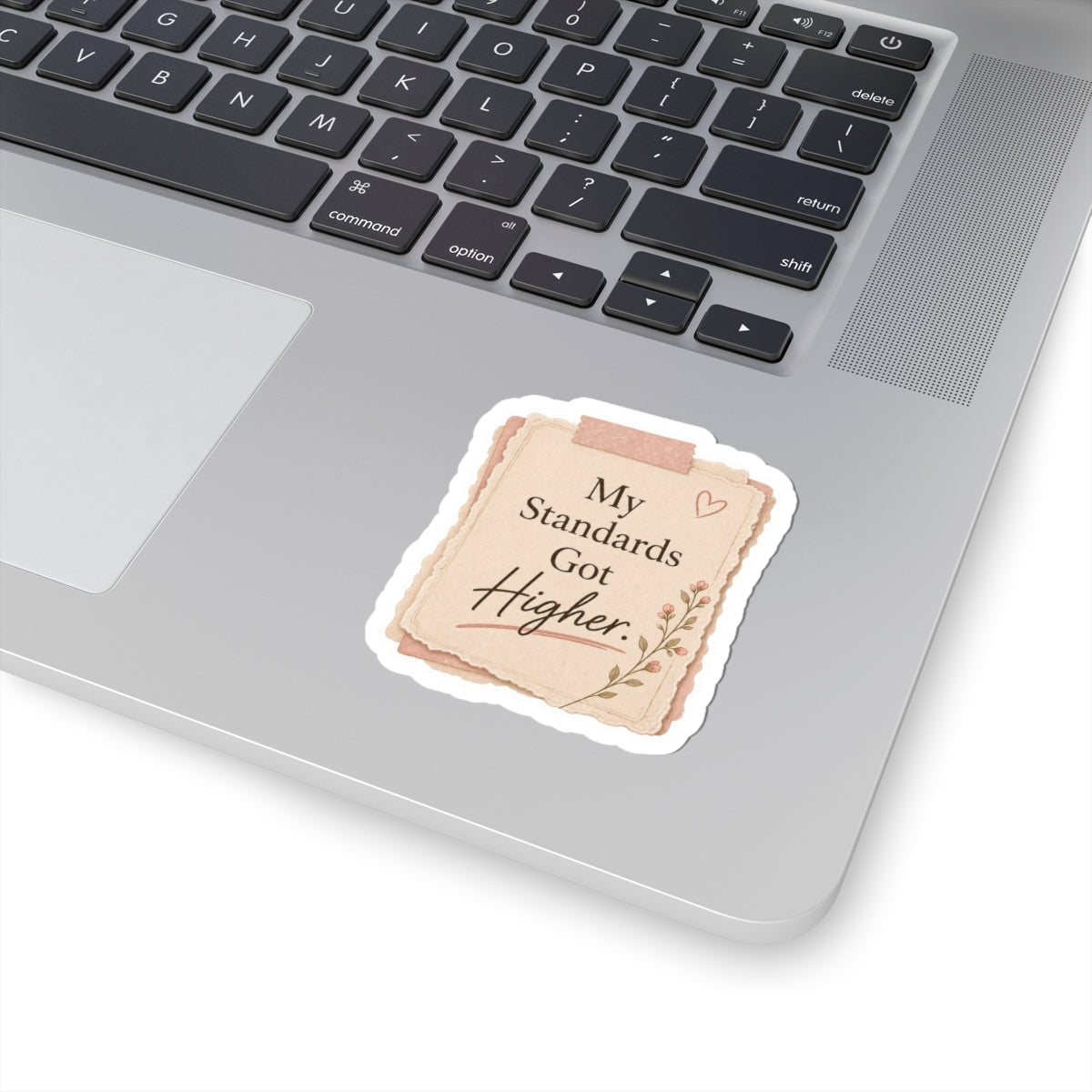 My Standards Got Higher Sticker