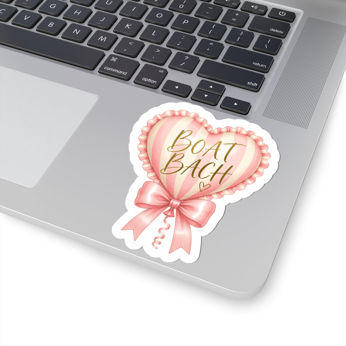 Boat Bachh Heart Balloon Sticker 🎀💗