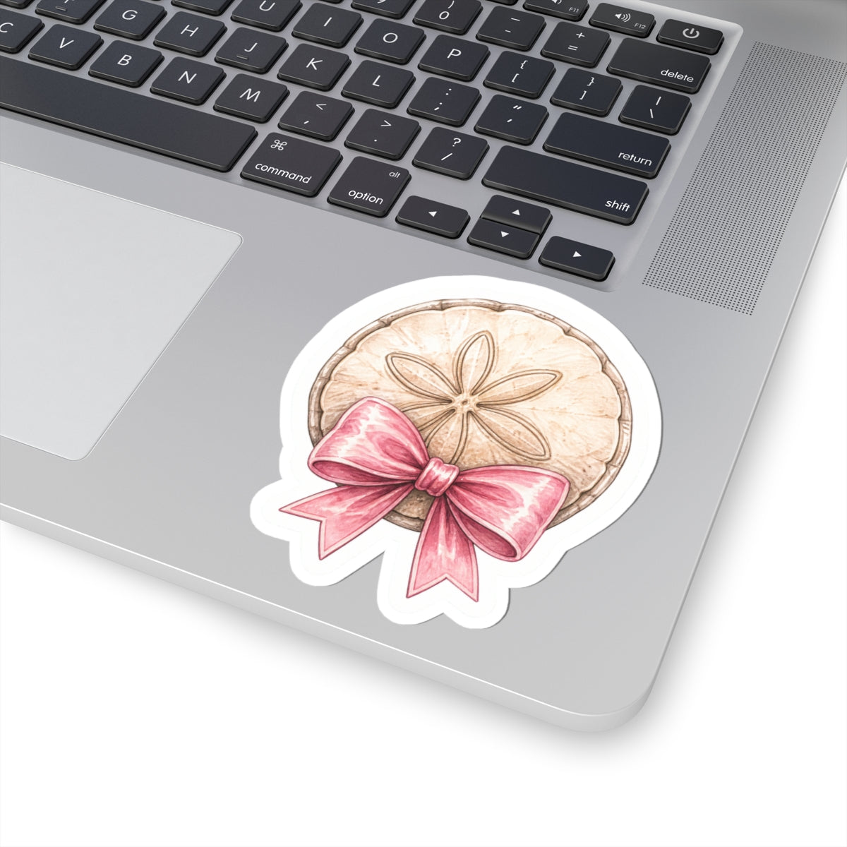 Pretty Little Sand Dollar Bow Sticker