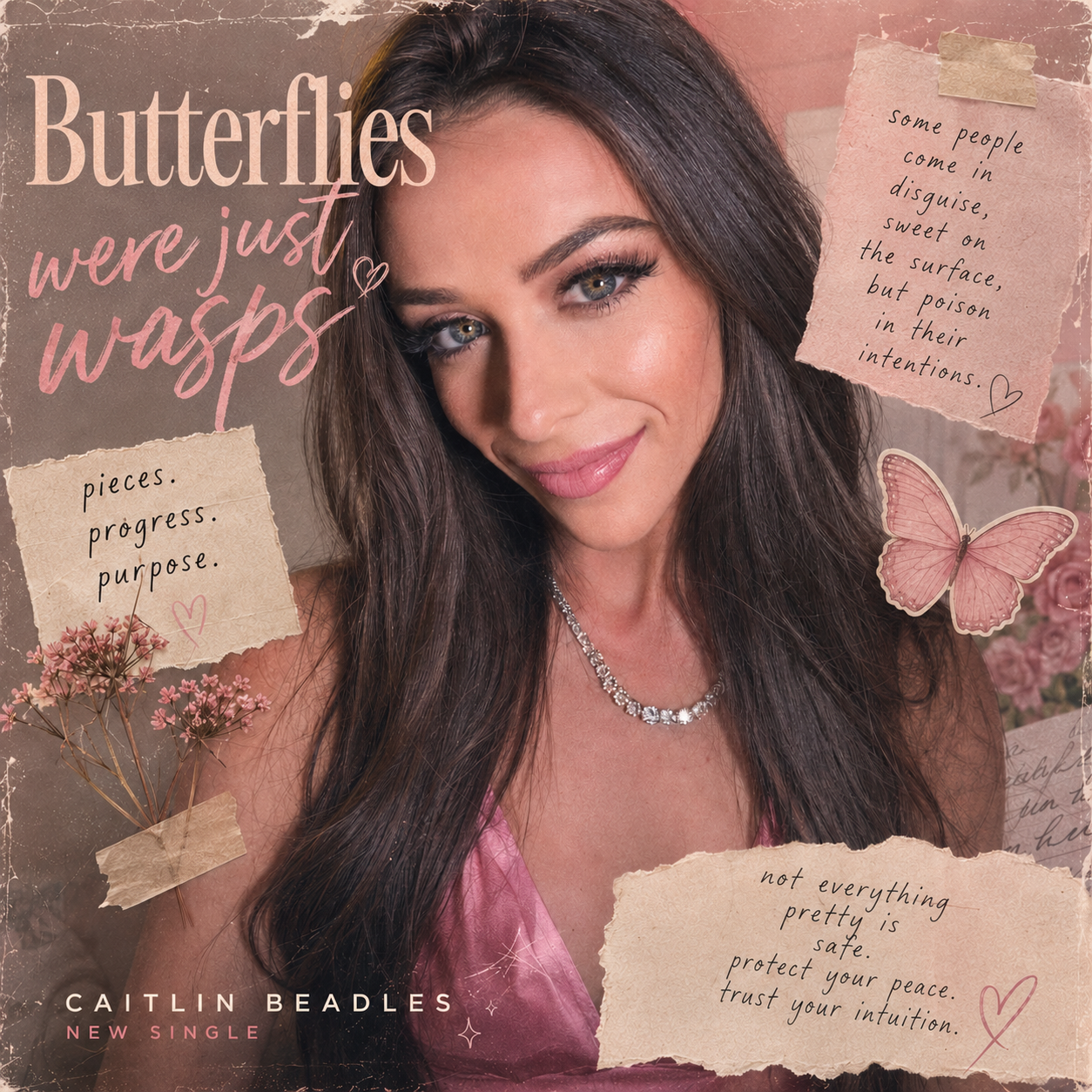 The Butterflies Were Just Wasps song cover